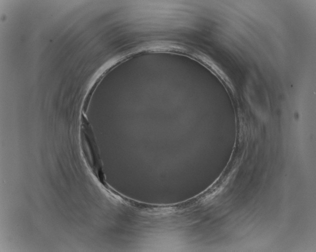 X0000076080853200610061614