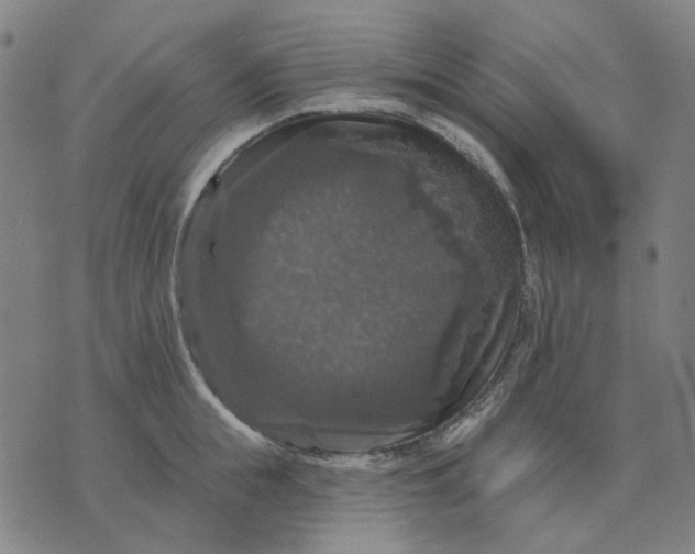 X0000076080855200610061614