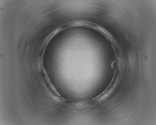 X0000076080857200610061614