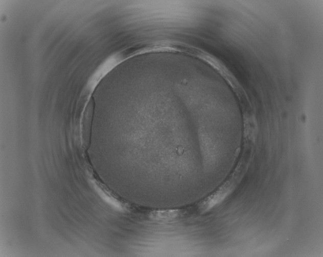 X0000076080858200610061614