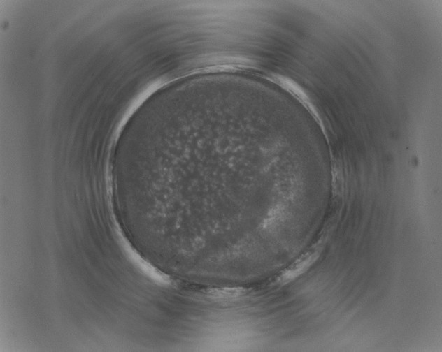 X0000076080859200610061614