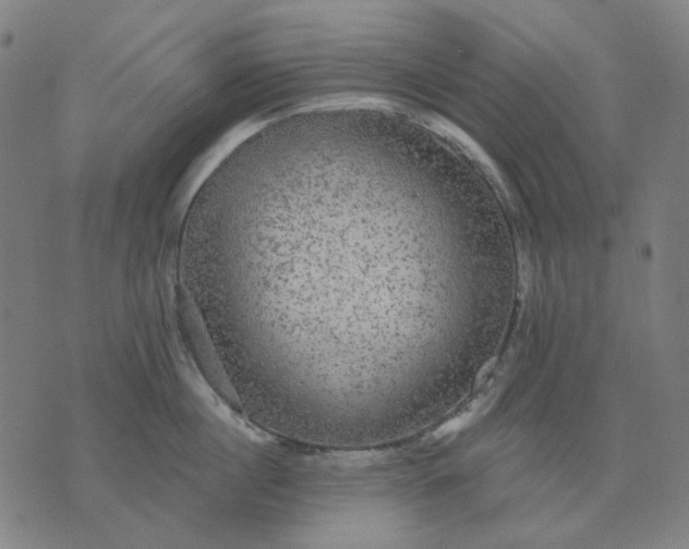 X0000076080860200610061614