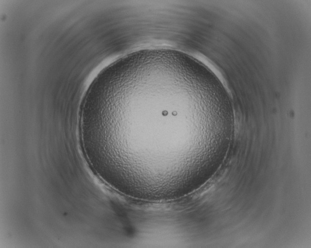 X0000076080861200610061614