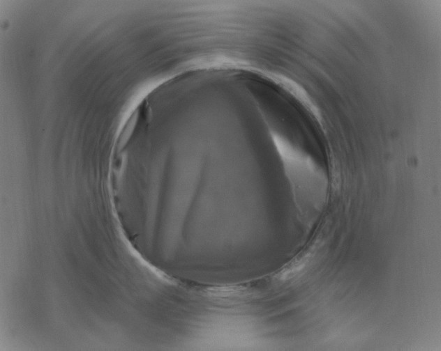 X0000076080863200610061614