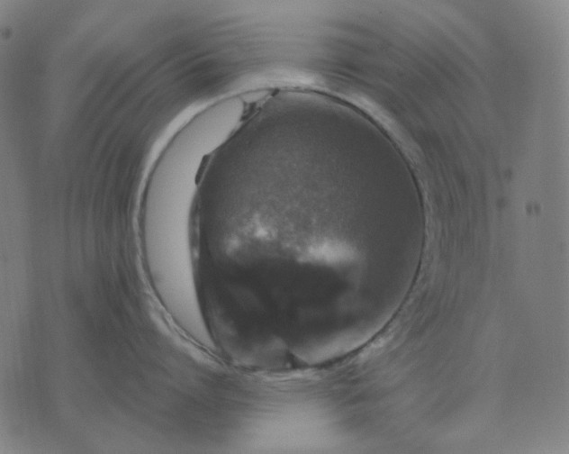 X0000076080864200610061614