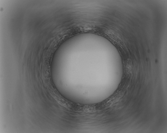 X0000076080865200610061613