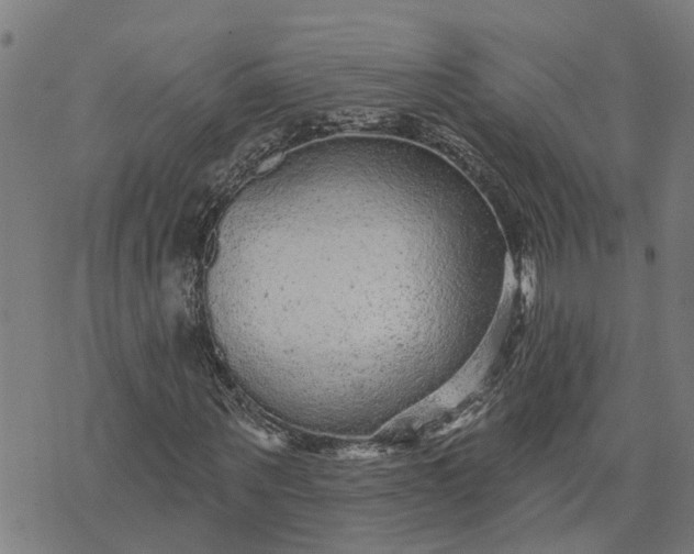 X0000076080867200610061613