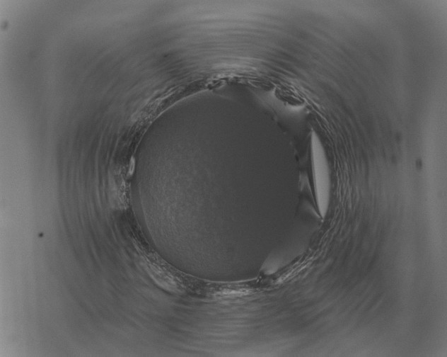 X0000076080868200610061613