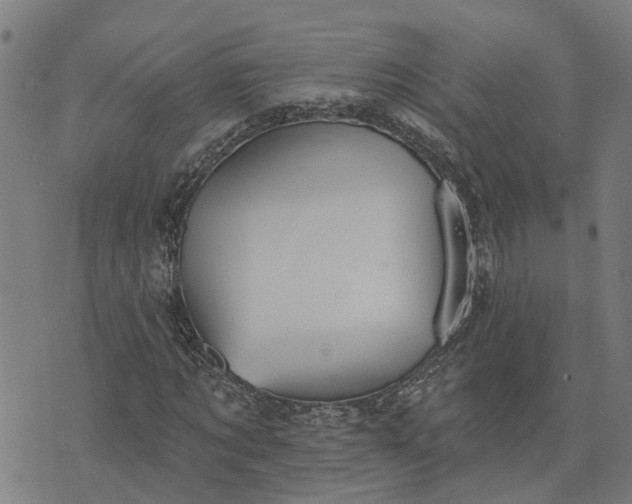 X0000076080869200610061613