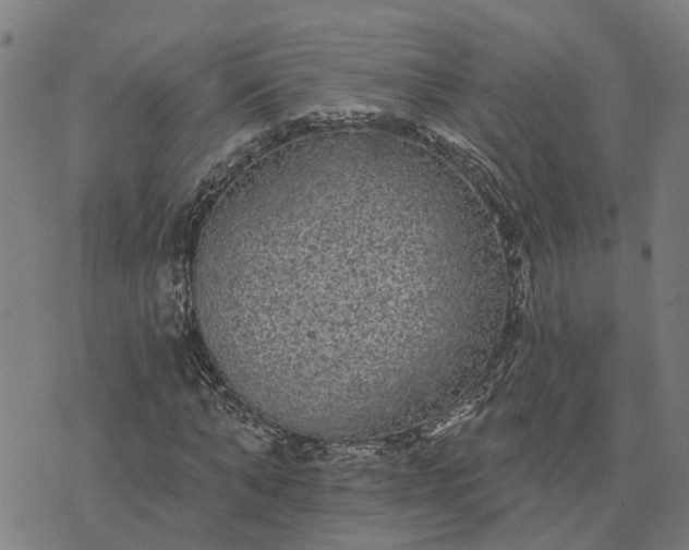 X0000076080870200610061613