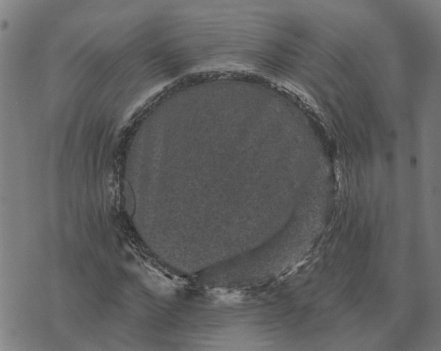 X0000076080872200610061613