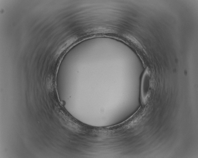 X0000076080873200610061613