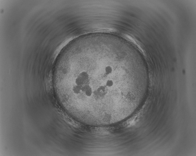 X0000076080875200610061613