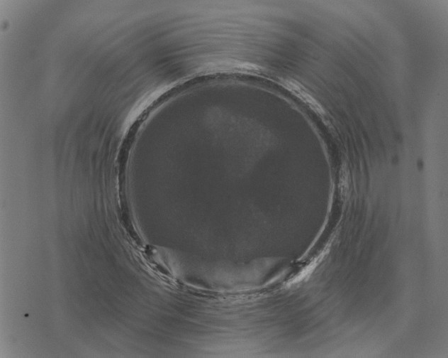 X0000076080877200610061613