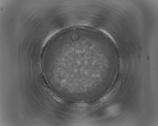 X0000076080878200610061613