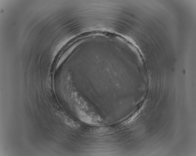 X0000076080879200610061613