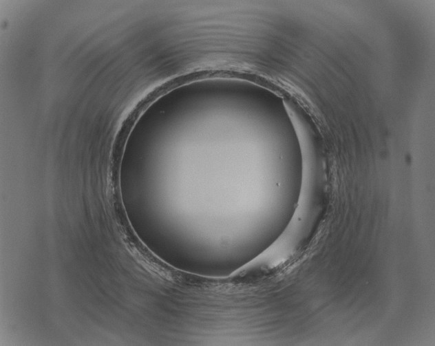 X0000076080880200610061613