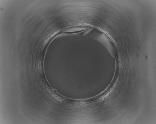 X0000076080881200610061613