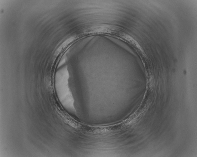 X0000076080882200610061613