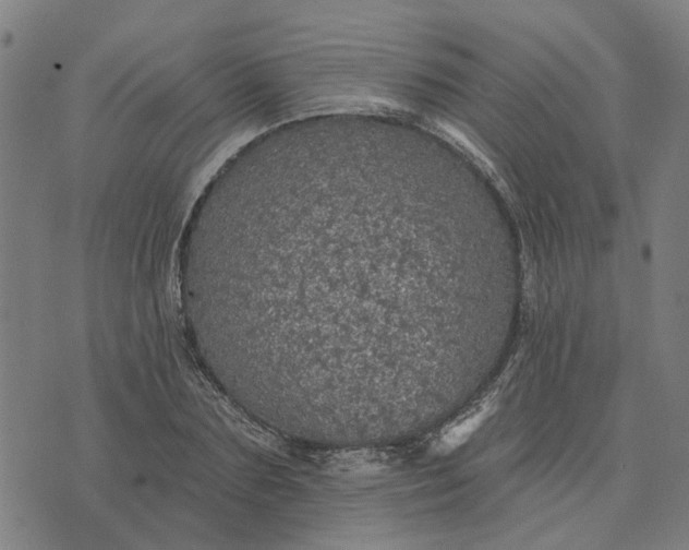 X0000076080883200610061613