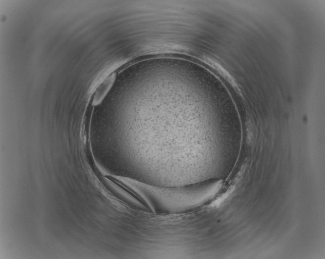 X0000076080885200610061613