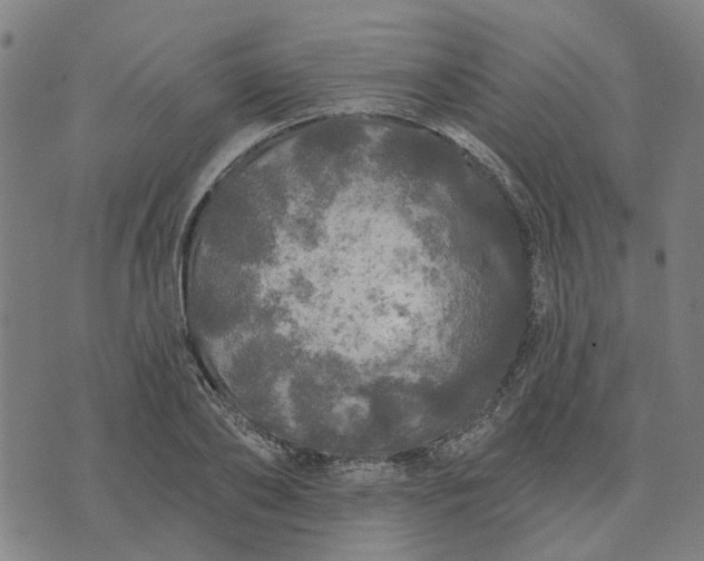 X0000076080886200610061613