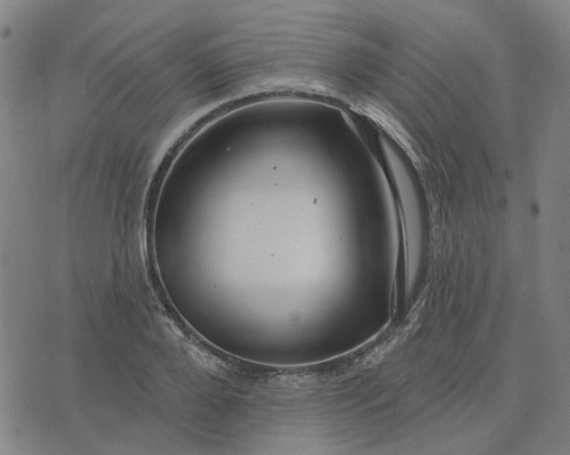 X0000076080888200610061613