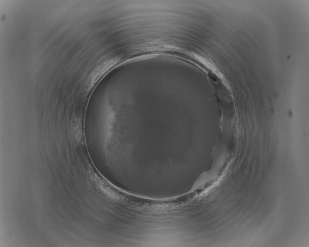 X0000076080889200610061613