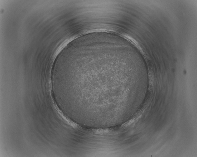 X0000076080890200610061613