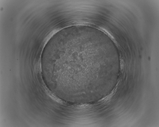 X0000076080891200610061613