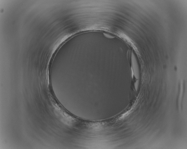 X0000076080892200610061613