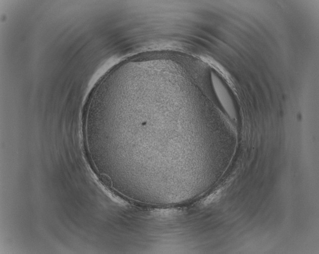 X0000076080894200610061613