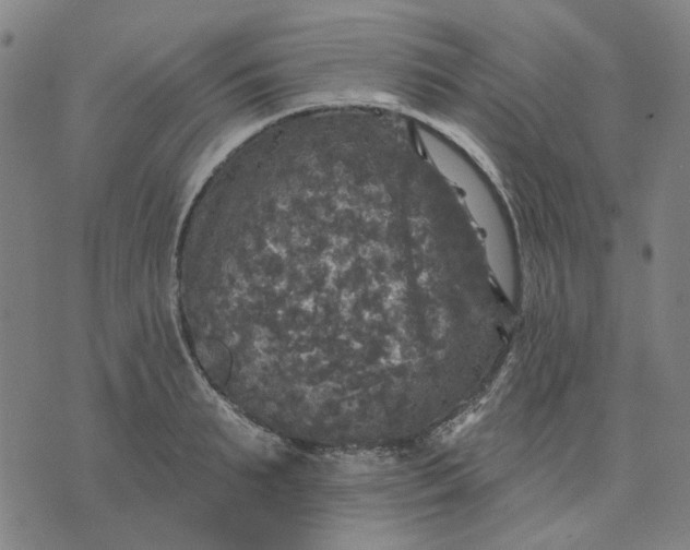 X0000076080895200610061613