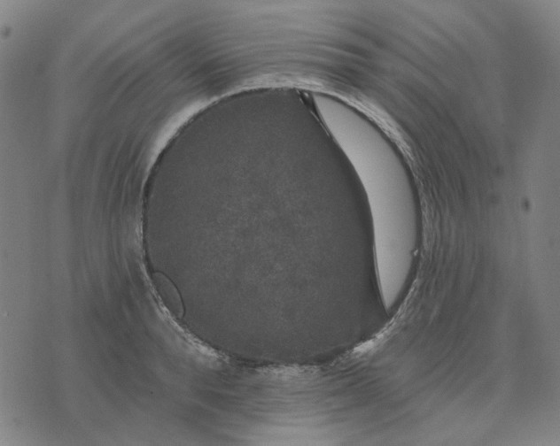 X0000076080896200610061613