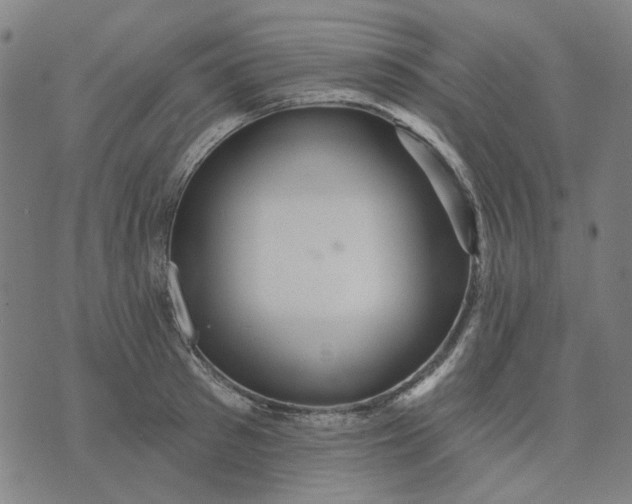 X0000076080897200610061613