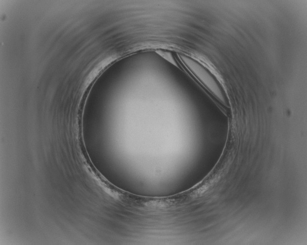 X0000076080898200610061613