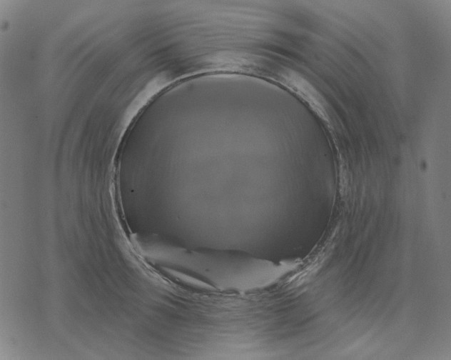 X0000076080899200610061613