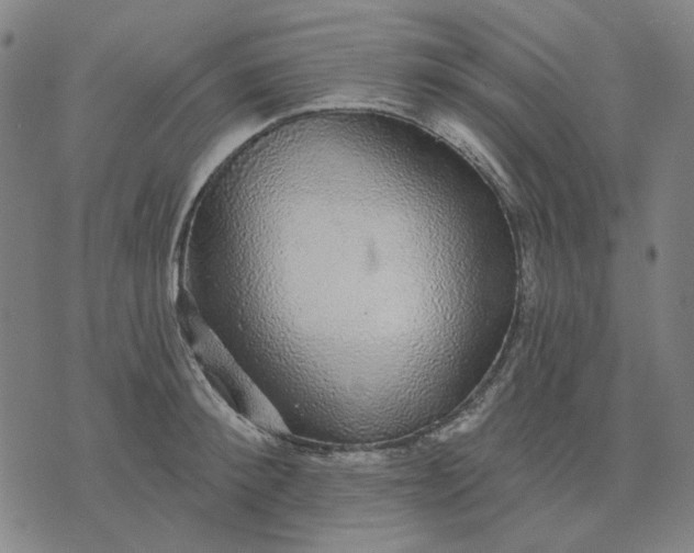 X0000076080900200610061613