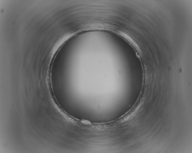 X0000076080901200610061613