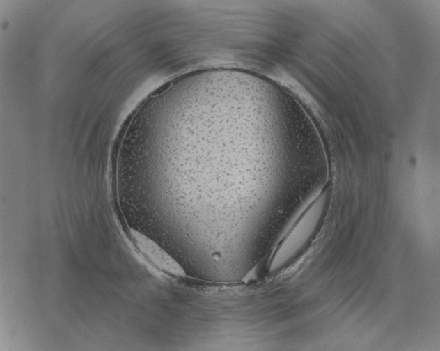 X0000076080902200610061613