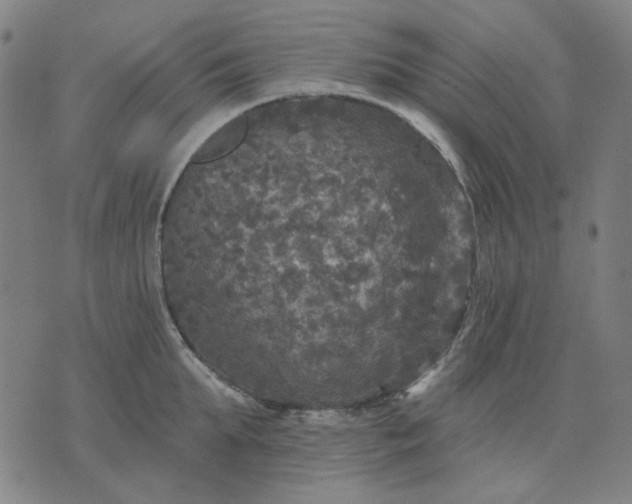 X0000076080903200610061613