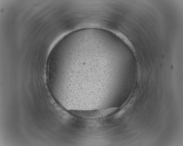 X0000076080904200610061613