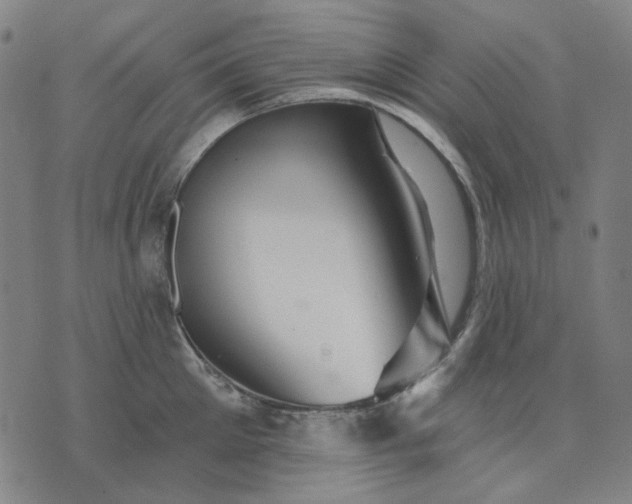 X0000076080905200610061613