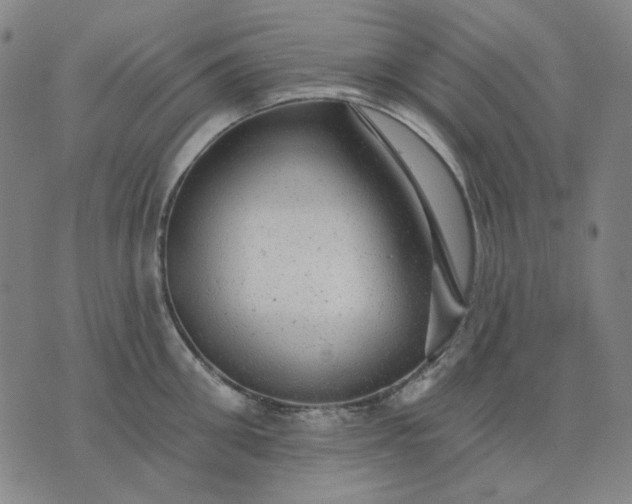 X0000076080906200610061613