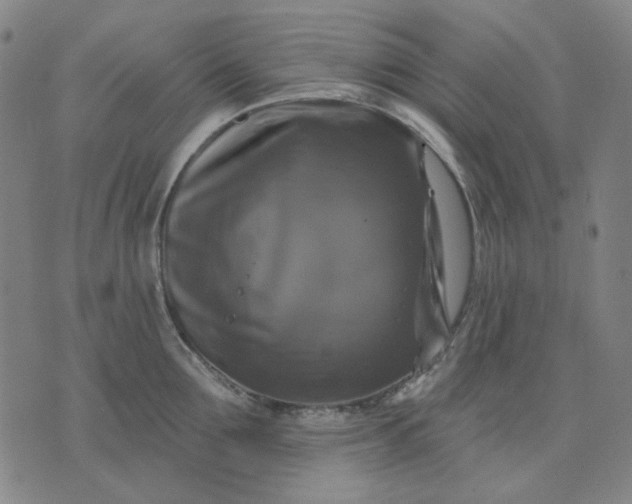 X0000076080907200610061613