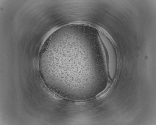 X0000076080908200610061613