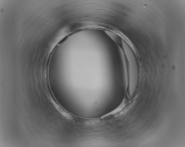 X0000076080909200610061613