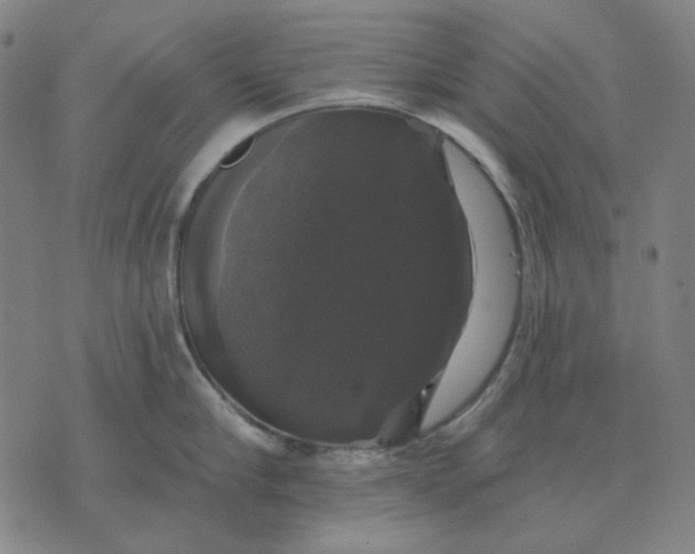 X0000076080910200610061613