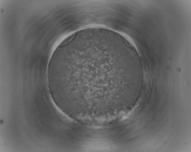 X0000076080911200610061613