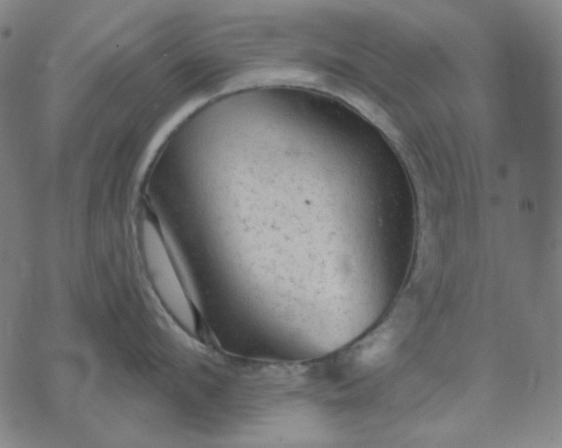 X0000076080912200610061613